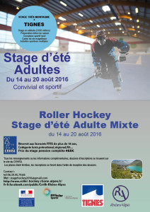 STAGE2016adulte-paper